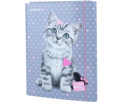 Папка для трудового навчання Kite Studio Pets на гумці А4 (SP22-213)