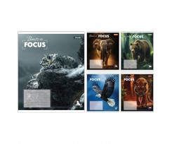 Зошит шкільний 1 Вересня Beasts in Focus А5 24 аркушів лінія (768057)