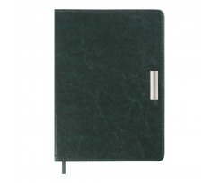 Дневник датированный 2025 Buromax SALERNO A5 336 страниц зеленый (BM.2133-04)