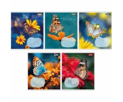 Тетрадь для записей 1В Butterfly А5 48 листов линия (767376)