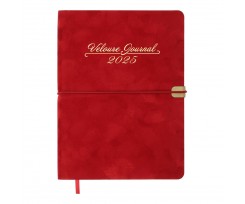 Дневник датированный 2025 Buromax VELOUR A5 336 страниц красный (BM.2134-05)