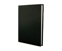 Дневник датированный 2025 Economix Стиль A5 336 страниц зеленый (E21636-04)