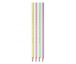 Олівець чорнографітний Bic Evolution Pastel НВ 5 шт (bc518980)