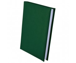 Дневник недатированный Buromax Base А4 288 листов линия зеленый (BM.2094-04)