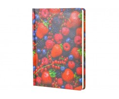 Ежедневник недатированный Economix А5 320 страниц (E22014)