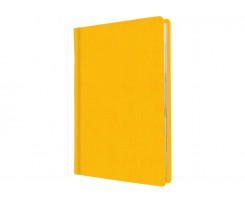 Ежедневник недатированный Economix Cabinet Square А5 320 страниц желтый (O25438-05)