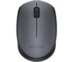 Мышь Logitech Wireless Mouse M170 (6273019)