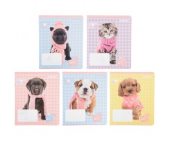 Зошит шкільний Kite Studio Pets 18 аркушів лінія (SP22-237)