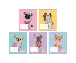 Зошит шкільний Kite Studio Pets 18 аркушів клітинка (SP22-236)