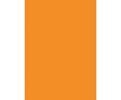 Папір для дизайну Folia Tintedpaper В2 №17 охра 130 г/м2 (16826717)