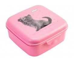 Ланч-бокс Maxi 850 мл 14х14х6 см розовый (MX98138)