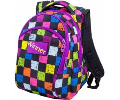 Рюкзак Winner Stile 34х18х39 см асорті (317)