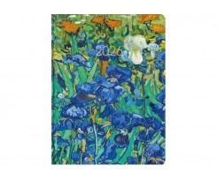 Щоденник датований 2026 Economix Color A5 336 сторінок принт (E21872)