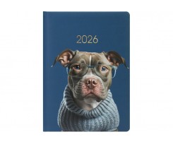 Дневник датированный 2026 Economix Color A5 336 страниц цветная (E21840)