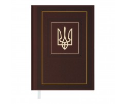 Дневник датированный Buromax Nation 2024 A5 336 страниц коричневый (BM.2199-25)