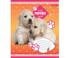 Тетрадь 1 Сентября Lovely puppies А5 12 листов линия (765419)