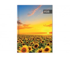 Блокнот Optima Nature of Ukraine лес А4 96 листов (O20378-05)