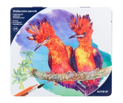Карандаши цветные Kite Птицы 4 мм 24 штуки ассорти (k18-1053)