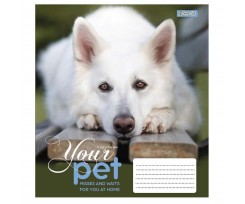 Тетрадь 1 Сентября Dog loyality А5 24 листа клетка (765439)