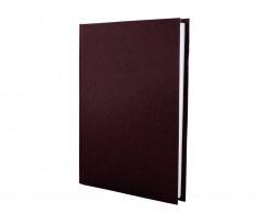 Дневник датированный 2025 Economix Стиль A5 336 страниц бордовый (E21636-18)