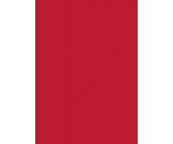 Папір для дизайну Folia Tintedpaper В2 №18 цегляно-червоний 130 г/м2 (16826718)