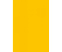 Папір для дизайну Folia Tintedpaper А4 №15 золотисто-жовтий 130 г/м2 (16826415)