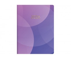 Дневник датированный 2026 Economix Color A5 336 страниц принт (E21857)