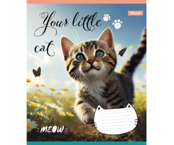 Зошит шкільний 1 Вересня Your little cat А5 12 аркушів лінія (766537)