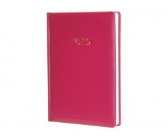Дневник датированный 2026 Economix Spectrum A5 336 страниц бордовый (E21847)