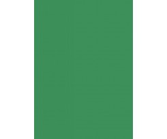 Папір для дизайну Folia Tintedpaper В2 №53 зелений мох 130 г/м2(16826753)