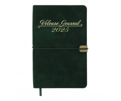 Дневник датированный 2025 Buromax VELOUR A6 336 страниц зеленый (BM.2512-04)
