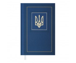 Дневник недатированный Buromax Nation A6 288 страниц синий (BM.2618-02)